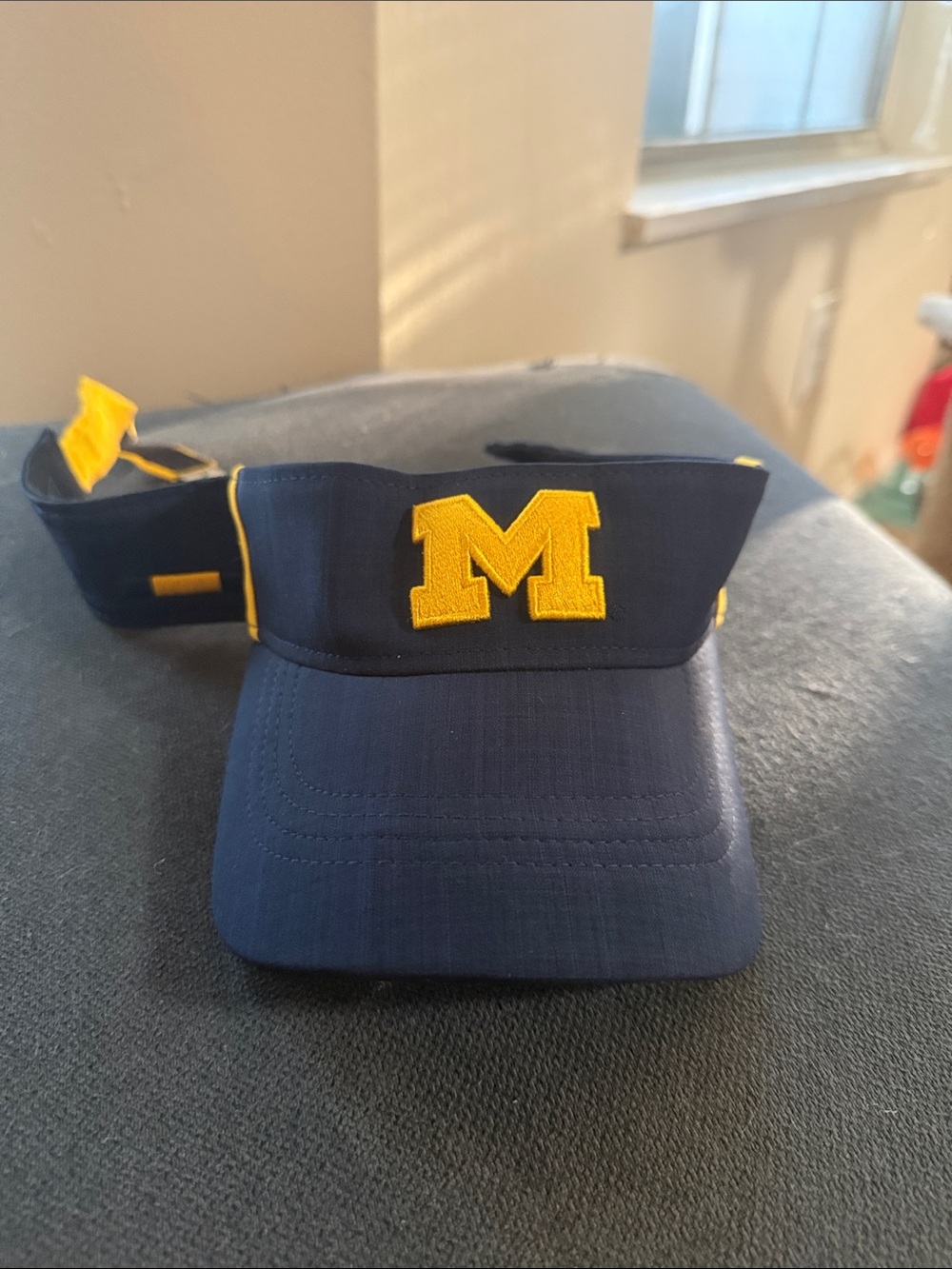 Michigan Jordan visor
